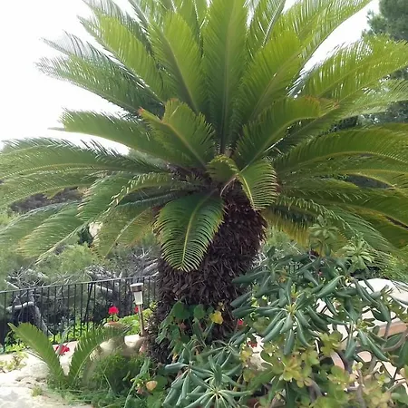 Capblanc -firstline Bed & Breakfast Moraira